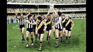 The Final Story 1980 VFL Grand Final  Finals History  AFL [upl. by Nadnal10]