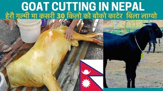 Best Goats Cutting in Nepal 🇳🇵  40 KG Goats Cutting in Nepali Village  khasi cut  Canadian kanxo [upl. by Allys]