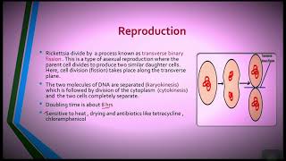 General characteristics of Rickettsia [upl. by Rucker163]