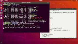 V2Ray Client on Ubuntu Linux [upl. by Jahncke52]