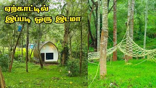 Yercaud Forest Stay 3 வேளை உணவுடன் ₹2500 மட்டுமே 😍  Yercaud Resort Review I Forest Stay In Yercaud [upl. by Grae]