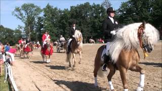 Haflinger Europa Championat 2012  Lap of honour [upl. by Margherita698]