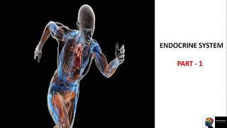 Endocrine System  ICSE Class 10th BiologyPart 1 [upl. by Market977]