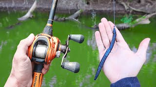 Catch 15x MORE Bass  TRY THIS Bass Fishing Tips [upl. by Nevad]