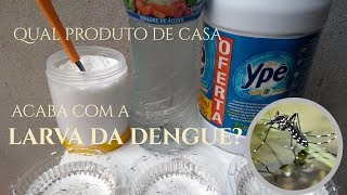 Eliminar LARVAS do MOSQUITO da DENGUE [upl. by Neret]