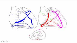 Blood supply of the heart [upl. by Beshore]