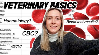 VETERINARY BASICS How to read a blood test CBC amp Haematology [upl. by Latsyrhk]