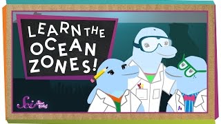 Lets Learn the Ocean Zones [upl. by Eceerahs]