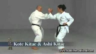 Shoryn Ryu karate Kyudokan Mazato Higa [upl. by Anirbaz]