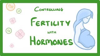 GCSE Biology  What is IVF How Does IVF Work and What Are The Risks IVF Explained 62 [upl. by Jarad]