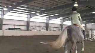 How to Gallop a Horse [upl. by Illyes]