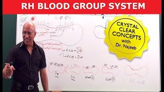 Rh Blood Group System  Dr Najeeb [upl. by Esinek156]