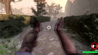 Left 4 Dead 2  Unused beta animations [upl. by Ahseuqram]