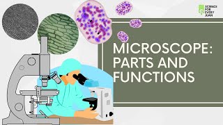 Microscope Parts and Functions  Science [upl. by Kelly44]