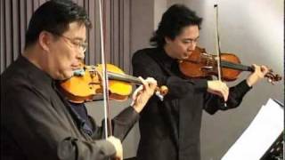 Duo for 2 violins No5Allegro maestosoW A Mozart [upl. by Tennos]