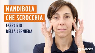 MANDIBOLA CHE SCROCCHIA Esercizio della quotcernieraquot [upl. by Olsen]