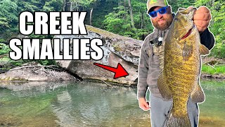 CREEK FISHING for BIG SMALLMOUTH BASS  Ohio River Tributary [upl. by Namara921]