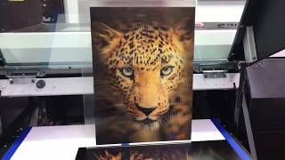 MUST SEE Lenticular print done on UJF6042MKII by PDS Equipment [upl. by Atniuqal]