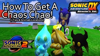 How To Get A Chaos Chao in Sonic Adventure 2 and DX Tips Animal Locations amp More [upl. by Rape13]