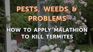 How to Apply Malathion to Kill Termites [upl. by Anna717]