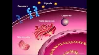 Introduction to Cancer Biology Part 1 Abnormal Signal Transduction [upl. by Enela]