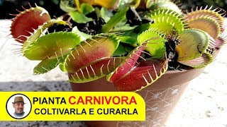 PIANTA CARNIVORA [upl. by Anelrac300]