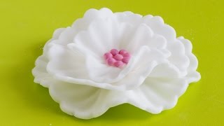 How to make Fondant Flowers  Cake Decorating Tutorial [upl. by Vandervelde840]