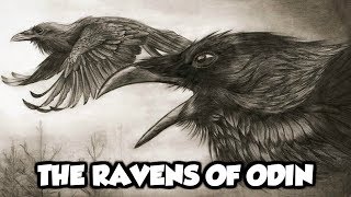 Odins Mythical Ravens  Huginn and Muninn Norse Mythology Explained [upl. by Grand]