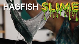 Hagfish Slime at Gulf Specimen Marine Lab [upl. by Rici]