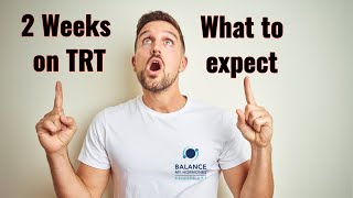 What to Expect While on TRT  2 weeks on TRT in the UK testosterone replacement therapy [upl. by Romine971]