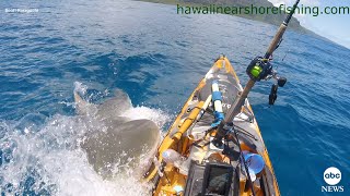 Shark rams kayak off Hawaii coast  ABC News [upl. by Anihsit381]