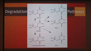 Malathion used against ectoparasites [upl. by Groscr966]