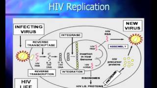 Basic Course in HIV  Pathophysiology and Natural History of HIV Infection [upl. by Sidran]