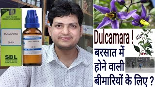 Dulcamara  Homeopathic Medicine Dulcamara  for Diseases of rainy season amp Damp Weather [upl. by Adnahcal]