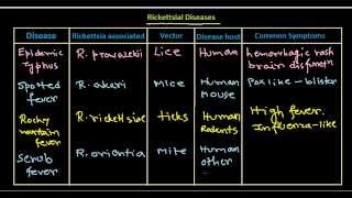 Rickettsial disease [upl. by Femi]