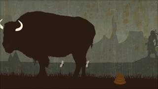 The Buffalo and Native Americans [upl. by Swagerty]