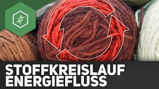 Stoffkreisläufe und Energiefluss  Ökologie [upl. by Frankel]