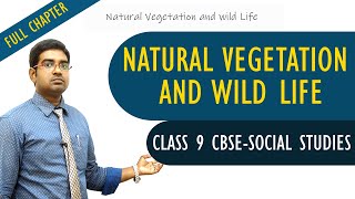 Natural Vegetation and wild Life full lesson  Social studies  Class 9  CBSE Syllabus [upl. by Bedad50]