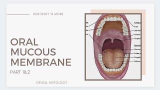 ORAL MUCOUS MEMBRANE [upl. by Yusuk859]