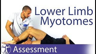 Myotomes Lower Limb  Peripheral Neurological Examination [upl. by Kushner]