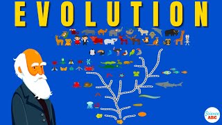 Darwins theory of Evolution A REALLY SIMPLE and Brief Explanation [upl. by Anitnegra]