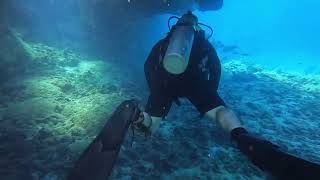 Turtle Cleaning Station Diving Puako Reef House 40 Big Island Hawaii [upl. by Etheline612]