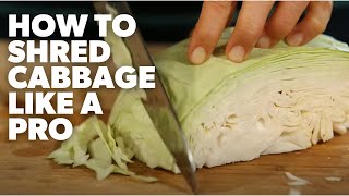 How to SHRED CABBAGE l My Food Bag [upl. by Ahron197]