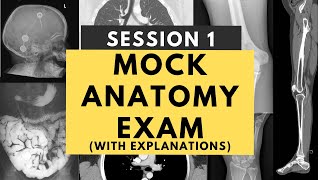 Radiology anatomy practice test Session 1 with answers and explanations [upl. by Casaleggio976]