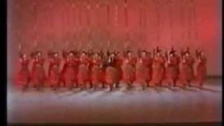 Cossack dance  Ukrainian dance [upl. by Aleka]