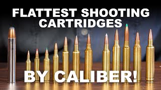 Flattest Shooting Cartridges by Caliber [upl. by Cassius]