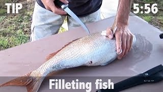 How to Fillet Fish [upl. by Aredna]