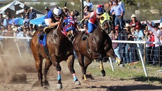 Carreras de Caballos en Cumpas 16 de Marzo 2019 [upl. by Yeslek]