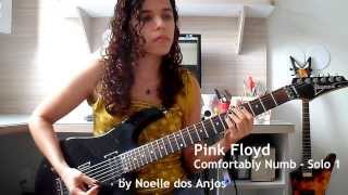 Pink Floyd  Comfortably Numb Solos Cover by Noelle dos Anjos [upl. by Levania573]