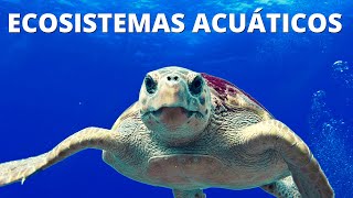 ¿Qué son los ECOSISTEMAS ACUÁTICOS Características tipos y ejemplos🌊 [upl. by Esenej]